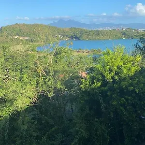 belvedere.comcaribbean.com/